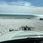 Beached